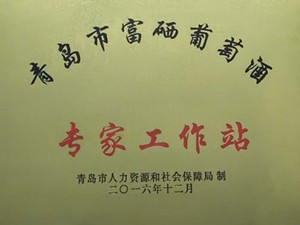 山东省富硒葡萄酒工作站